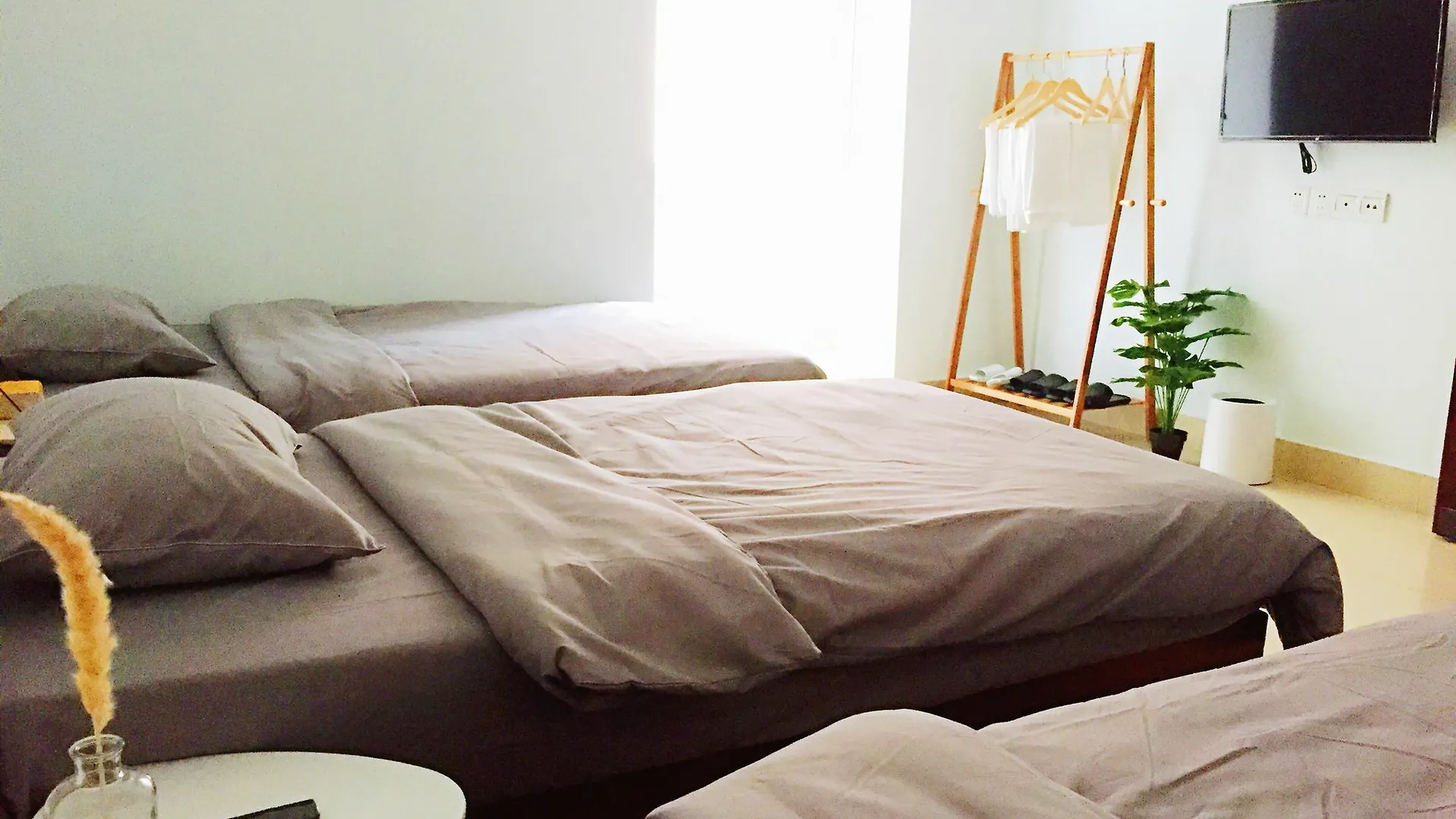 Hotel Phoenix Tree Inn Sanya